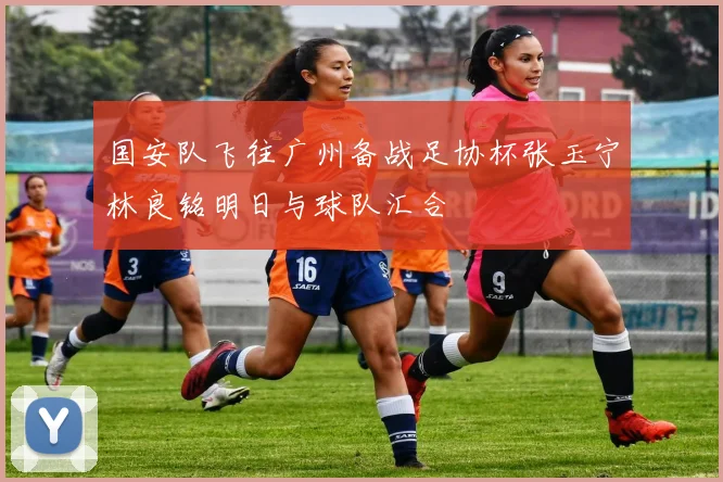 国安队飞往广州备战足协杯张玉宁林良铭明日与球队汇合